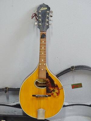 Mandolin i väska, Levin