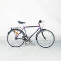CYKEL herr Crescent 26