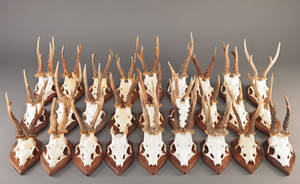 Samling bukkeopsatser 27