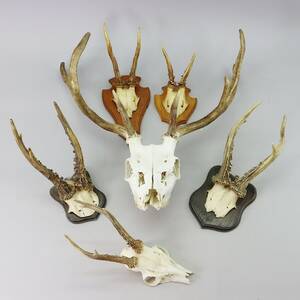 Horn