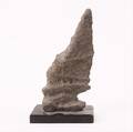 Fossill 