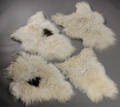 4 islandske fåreskind. Farve Hvid med sorte aftegninger. Super Soft. 4 