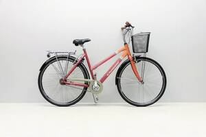 Damcykel