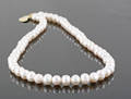 Fresh water pearl necklace