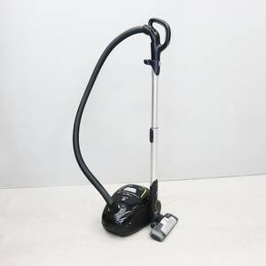 Dammsugare Electrolux