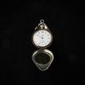 Fickur, silver