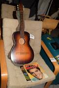 Levin Gitarr, Elvistidning mm