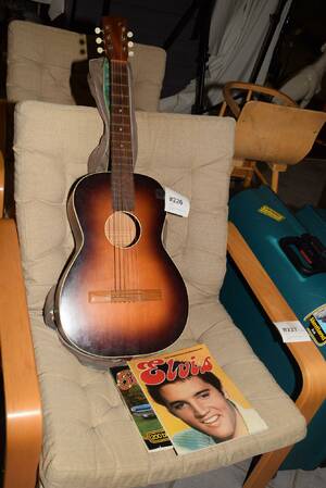 Levin Gitarr, Elvistidning mm