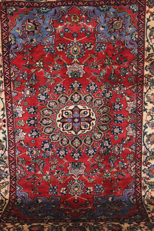 Bakhtiar. Persisk håndknyttet tæppe, 310x225 cm.