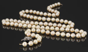 Kulturperlekæde med 14 kt hvidguldslås