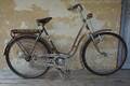 Crescent Damcykel