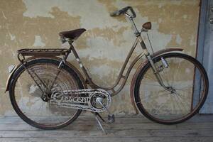 Crescent Damcykel