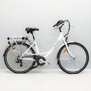 El-cykel