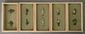 Fem sæt menuki af bronze, Japan, 1900tallet 5 Denne vare er sat til omsalg under nyt varenummer 4028757