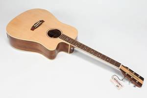 Nashville guitar model TND 