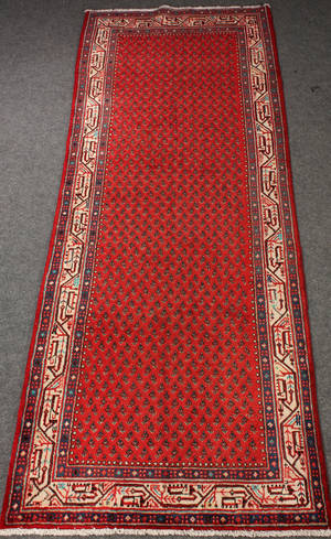 Persisk Arak tæppe, uld på bomuld, 310 x 155 cm.