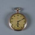 Fickur Omega silver