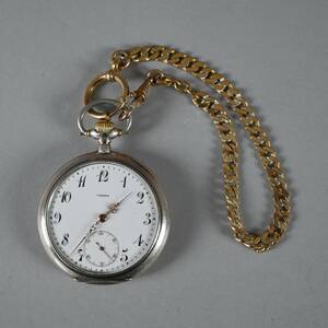 Fickur Omega silver  kedja