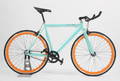 Enghouse Special Edition sportscykel, model Poisonous Frog