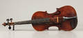Violin