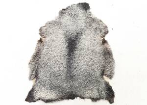 FÅRSKINN