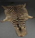 Zebraskinn