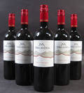 Chilensk rødvin, Terra Andina Cabernet Sauvignon 24 fl.. 