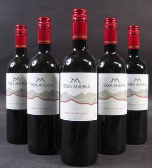 Chilensk rødvin, Terra Andina Cabernet Sauvignon 24 fl.. 