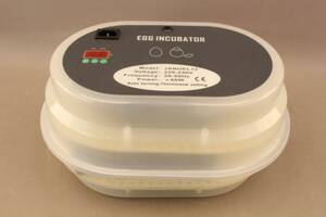 Egg Incubator