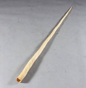 Narhvalstand, Monodon Monoceros