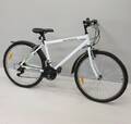 Herrcykel Speed
