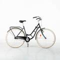 CYKEL dam Yosemite 28