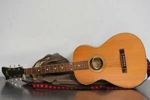 Gitarr Levin