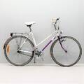 Damcykel