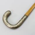 Käpp