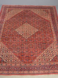 Persisk Bidjar 380x287 cm