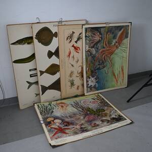 5 skolplanscher