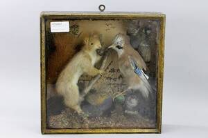 Diorama