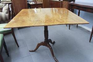 Fällbord, björkrot