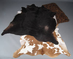 Koskind samt tæppe 3