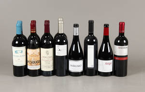 12 fl. diverse Ribera del Duero 12