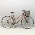Damcykel