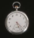 Fickur i silver