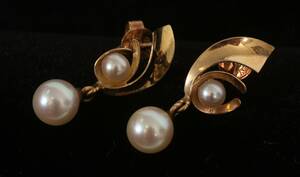 Örhängen ett par, 18k