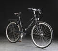 Everton, Damecykel. 5490