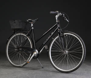 Raleigh damecykel