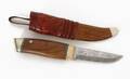 Kniv med slida