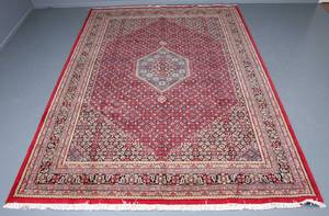 Kashmir Bidjar 248 x 355 cm