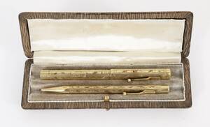 Reservoar- samt spetspenna, Swan pen, Todd  co. New York, 14k