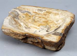 Unika fuglebad  bowle udhugget i forstenet træ 